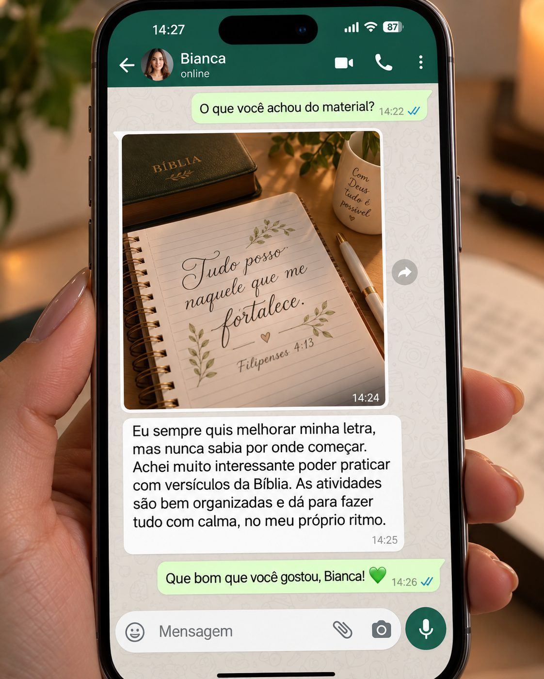 Conversa no WhatsApp com Bianca
